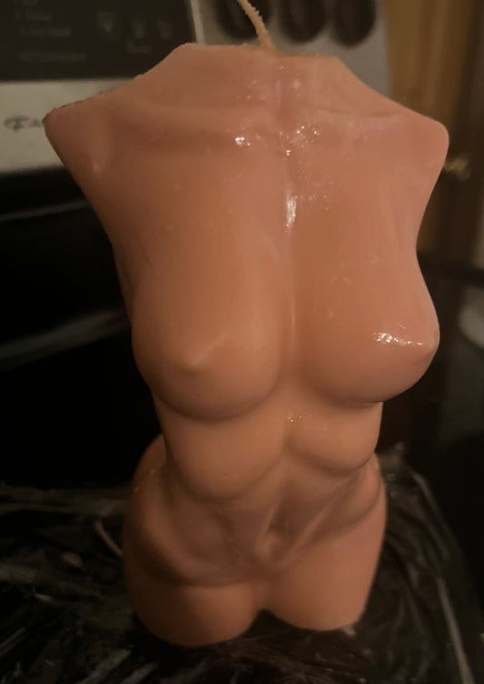 Big female torso(sold out)